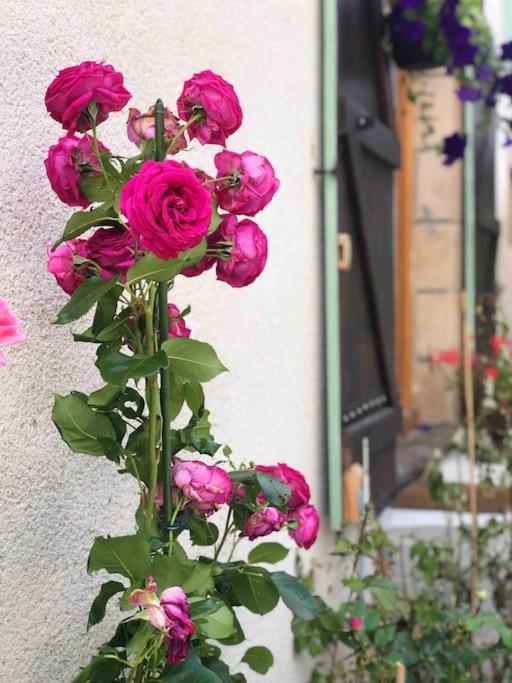 Gite "La Belle Vie" Chamblet Ngoại thất bức ảnh